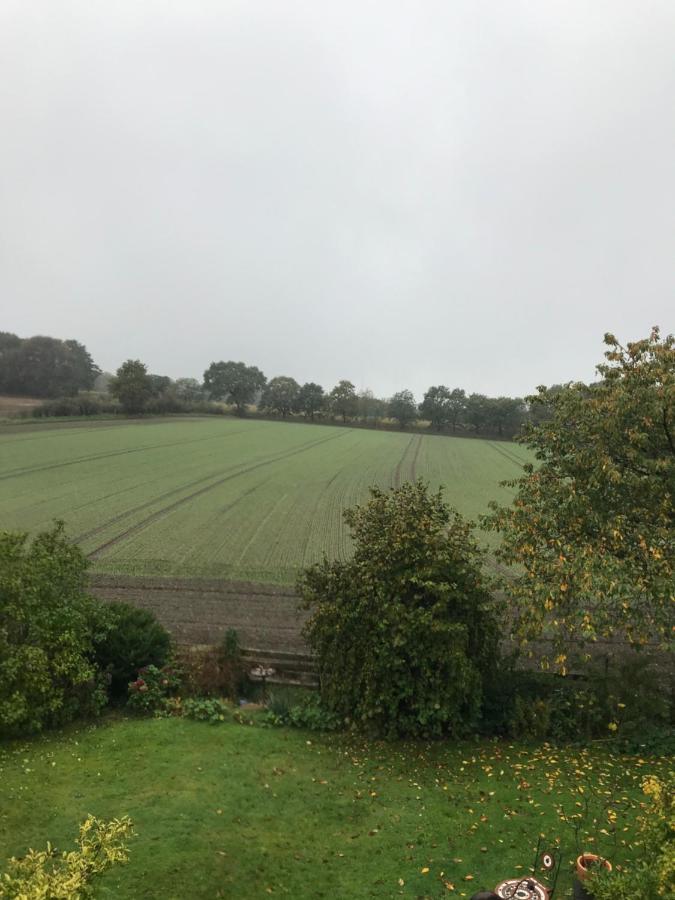 Ferienwohnung Nesthaekchen Hanerau-Hademarschen Buitenkant foto